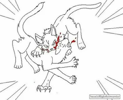 Лайники?🔒 ♡ Коты-Воители!⤵ Warrios ♡ Cat Amino
