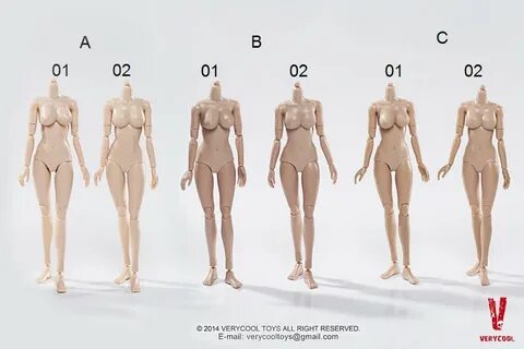 Nude Female Body Types