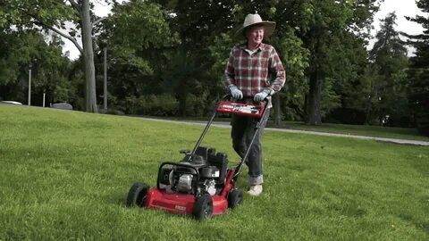 20 Lawn Fertilizing Tips Chop Doc