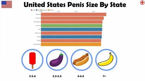 United States Penis Size Comparison By State - YouTube