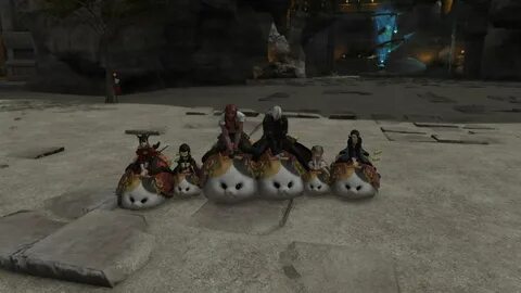 You can ride Fat Cat as a mount in Final Fantasy 14 now - Po