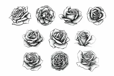 Realistic Rose Stencil Rose Drawing Outline - julkacom