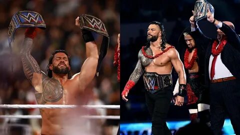 Roman reigns bulge