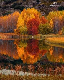 🍁 🍂 🍁 Autumn scenery, Scenery, Beautiful nature
