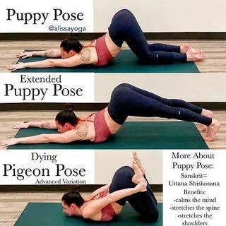 5 Super Effective Yoga Poses To Perform Every Day Astro Mave