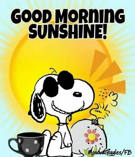 Animated Good Morning Sunshine Meme Image