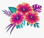 Summer Flowers Blooming Free Clipart Hq Clipart - Summer Flo