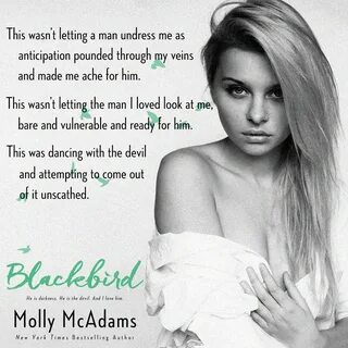 Blackbird by Molly McAdams Blog Tour & Giveaway - Love Affai