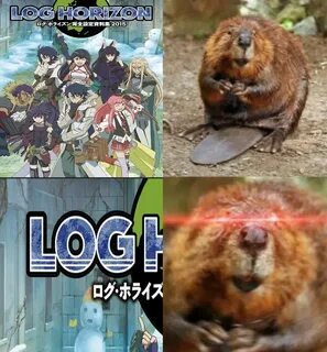 Dam building intensifies Beaver Log Know your meme, You meme