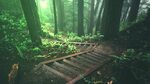Brown wooden ladder, trees, stairs, deep forest, forest HD w