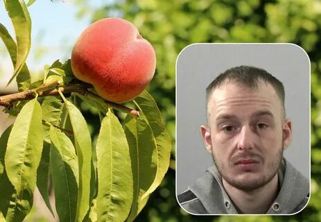 Northumbria Police on Twitter: "Just peachy! 🍑