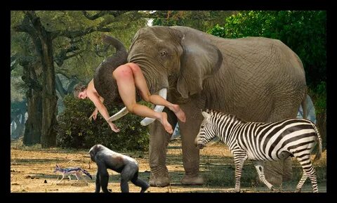 Chick has boobs grabbed by elephant
