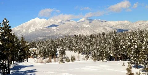 Luxury Hospitality in Flagstaff Pine Canyon