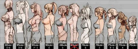 Daily reminder that C cup and below is the one true breast s