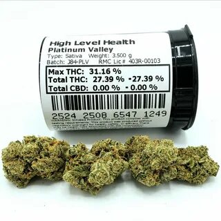 Platinum Valley - Sativa Cannabis Strain High Level Health