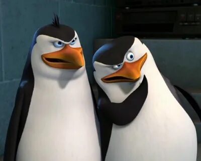 Rico the (Mad) পেংগুইন :) - Rico:The Penguins Of Madagascar 