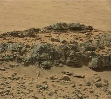 Краб-лицехват на Марсе, и другие абсурдные вещи, привидевшие