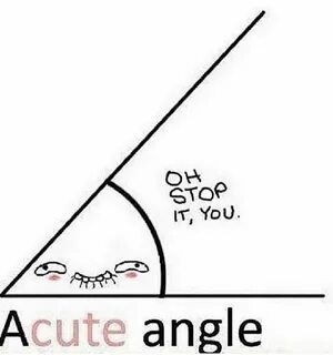 Acute Angle! - poztag.com Poztag Pinterest