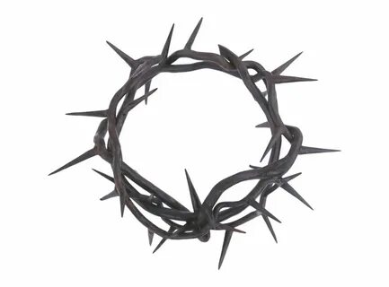 Vector Crown Of Thorns Png / 200+ vectors, stock photos & ps