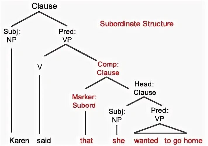 Which Sentence Best Completes The Diagram - Wiring Site Reso