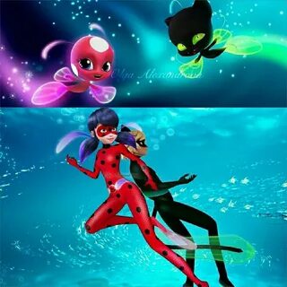 Catnoir And Ladybug, Ladybug Und Cat Noir, Ladybug Anime, Miraculous Ladybu...