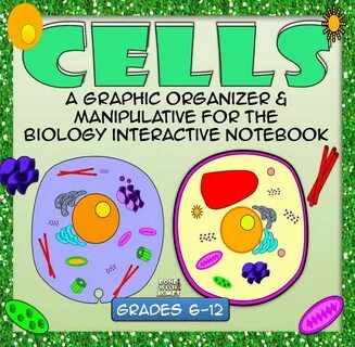 Cells: Graphic Organizer and Manipulative for Interactive No