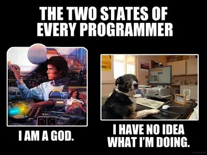 5 Things Every Code Newbie Needs to Know Programmer humor, C