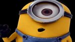 Minions Kiss - Despicable Me - YouTube