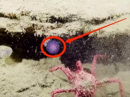 Scientists just collected a mysterious 'purple orb' at the b