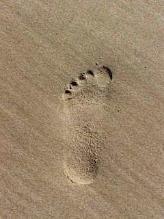 Free Images : beach, texture, floor, footprint, asphalt, soi