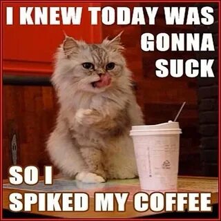 Pin by Coffee Confidential on Favorites Coffee humor, Funny 