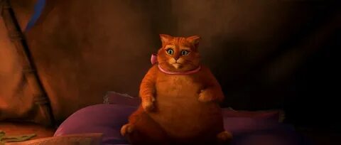 Любимый персонаж мультфильма - толстый Кот из "Шрека"