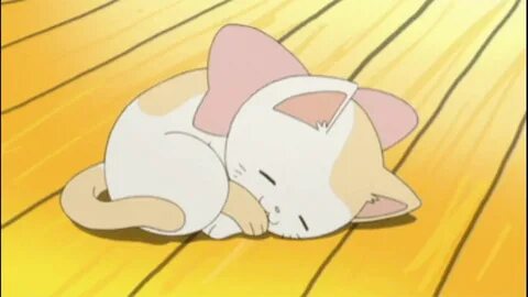 Cute anime cat music for relax Спокойная музыка для релакса 