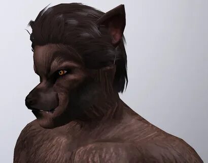 Sims 4 Werewolf Tail 10 Images - My Sims 4 Blog Ts2 Werewolf
