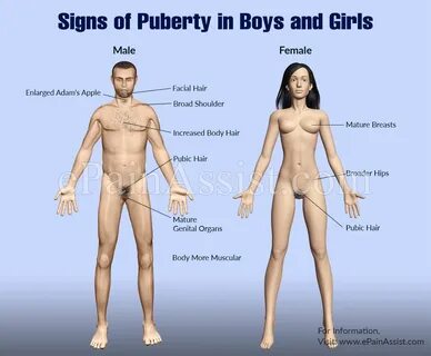 Signs & Stages of Puberty in Boys & Girls
