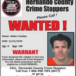 Hernando Co Crime Stoppers (@hernandocrimestoppers) * Фото и