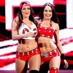 Former WWE Diva's Champions Nikki and Brie Bella welcome bab