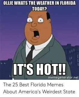 OLLIE WHATS THE WEATHER IN FLORIDA TODAY? IT'S HOT! Memegene