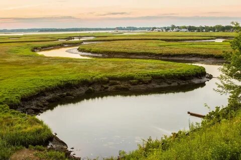 scarborough marsh 28 images * Boicotpreventiu.org