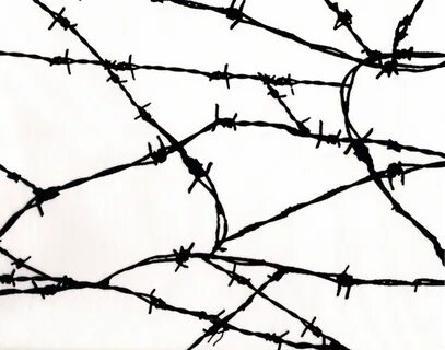 Drawn wire barbed wire fence - Pencil and in color drawn wir