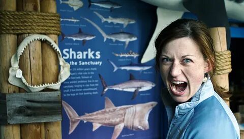 shark_teeth_lady_1170 - Futurity