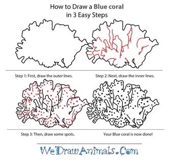 20+ Latest Coral Reef Drawing Png Everday Life