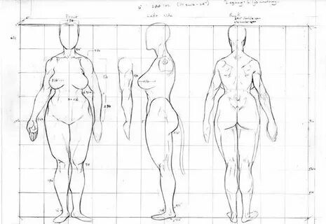 Plus Size Women Drawing Reference - bmp-troll