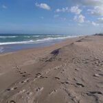 Blind Creek Beach (Fort Pierce) - 2021 What to Know Before Y