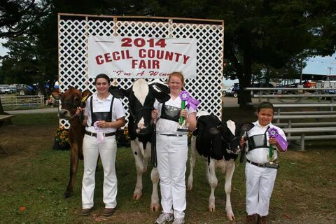 Welcome to the Cecil County Fair - Carnival, 4H, Tractor Pulls and More Cecil Co