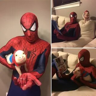 Spider Pig #funny #funnyPicture #FunnyText #funnyVideo #funn