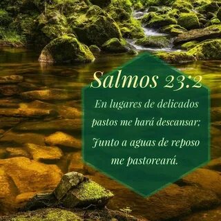 CONOCE EL SALMO 23 DE LA BIBLIA CATÓLICA