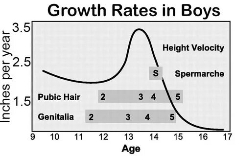 What Age Do Guys Start Growing Hair - Best Images Hight Qual