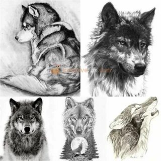 Realistic Wolf Snarling Drawing - Snarling wolf drawing at g