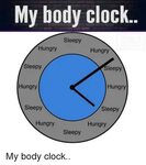 My Body Clock Sleepy Hungry Hungry Sleepy Sleepy Hungry Hung